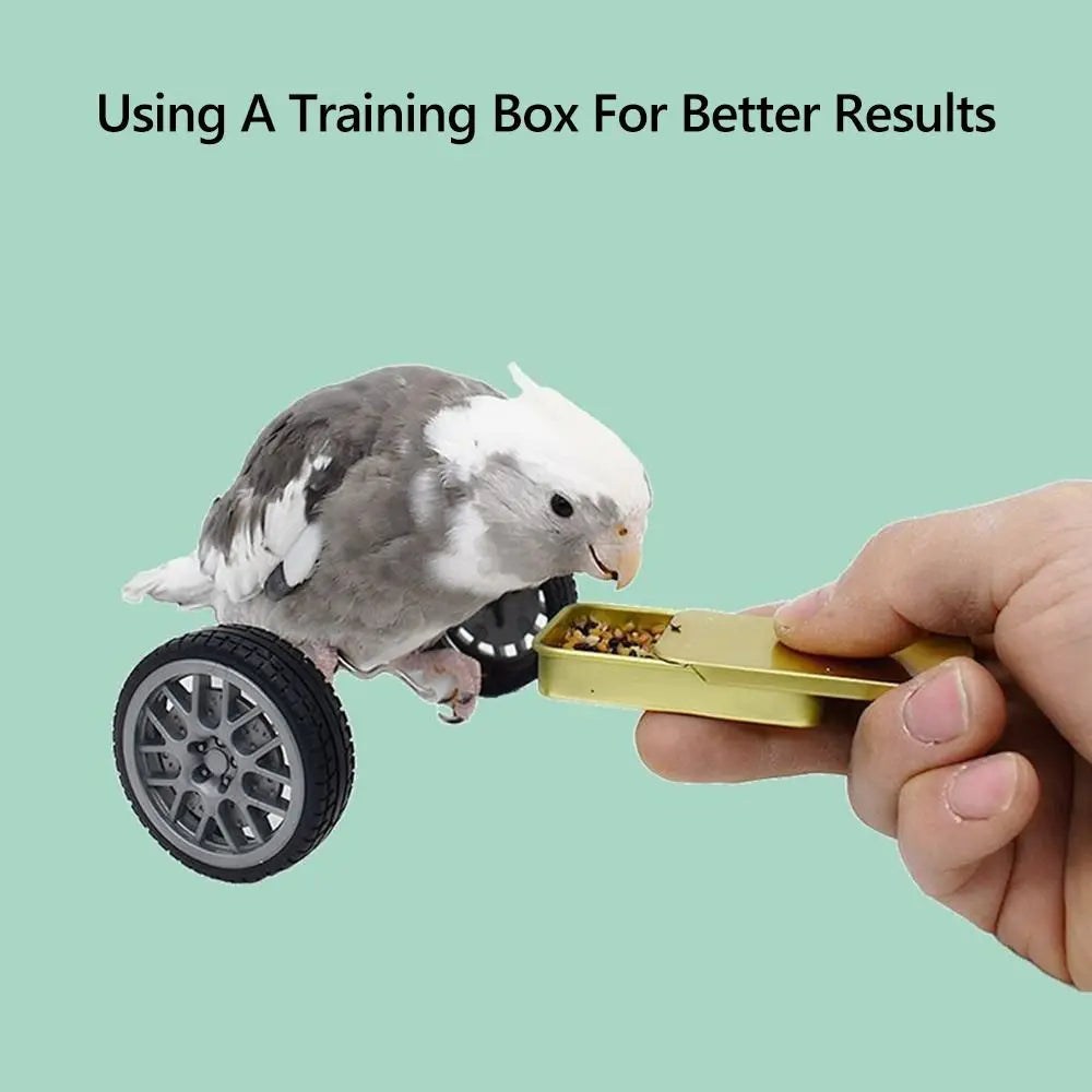 Parrot Balance Bike Toy for Budgie Cockatiel Lovebird Training