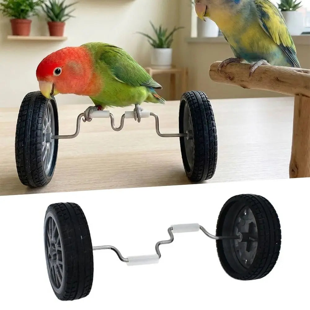 Parrot Balance Bike Toy for Budgie Cockatiel Lovebird Training