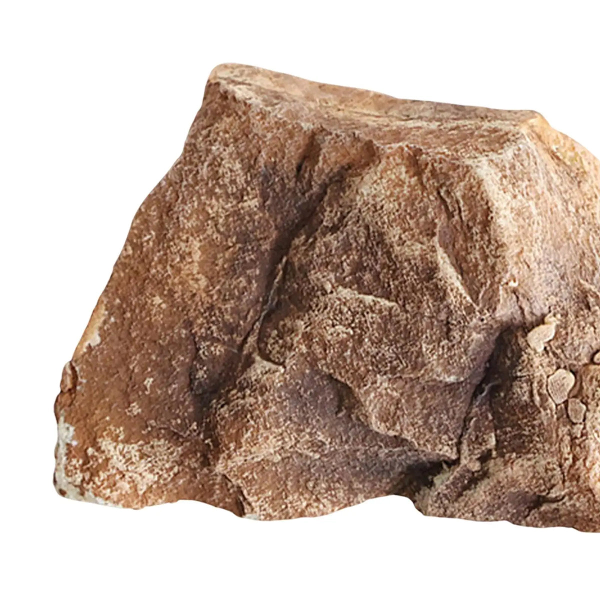 Realistic Artificial Sandstone Rock Ornament | Indoor & Outdoor