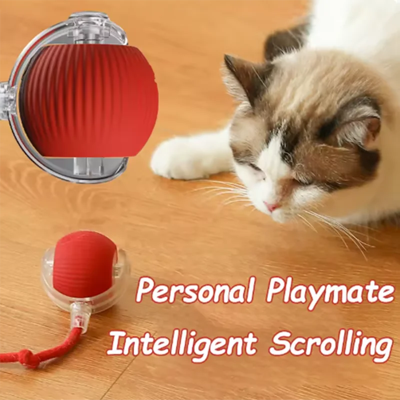 Interactive Electric Pet Ball Toy – Auto Obstacle Avoidance