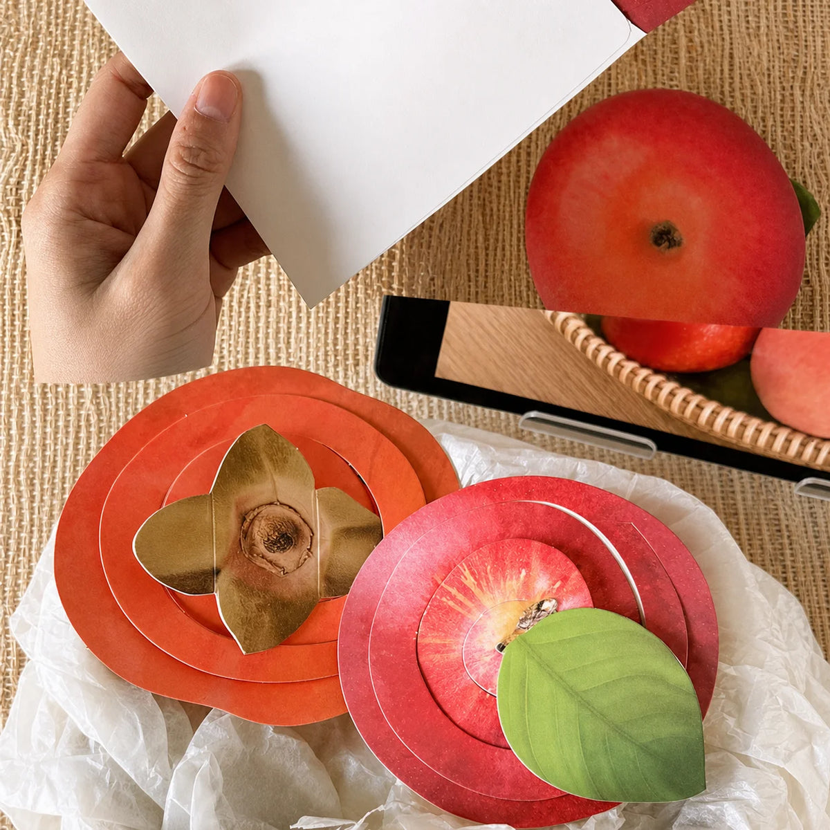 3D Foldable Fruit Greeting Card | Ink-Wash Art with Envelope