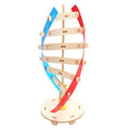 Rotating DNA Double Helix Model Kit – Science Learning Tool