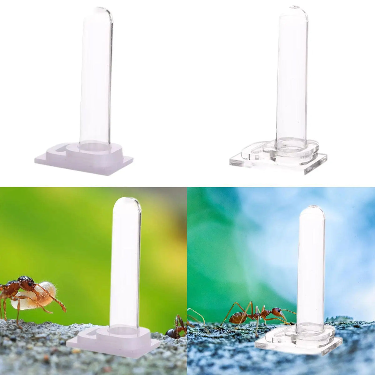 Vertical Acrylic Pet Water Dispenser – Terrarium Feeder Kit