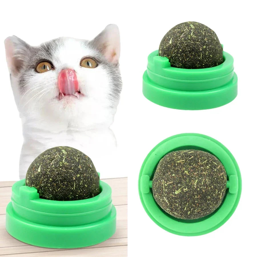 Catnip Wall Sticky Ball Toy – Natural Cat Grass Grooming Snack