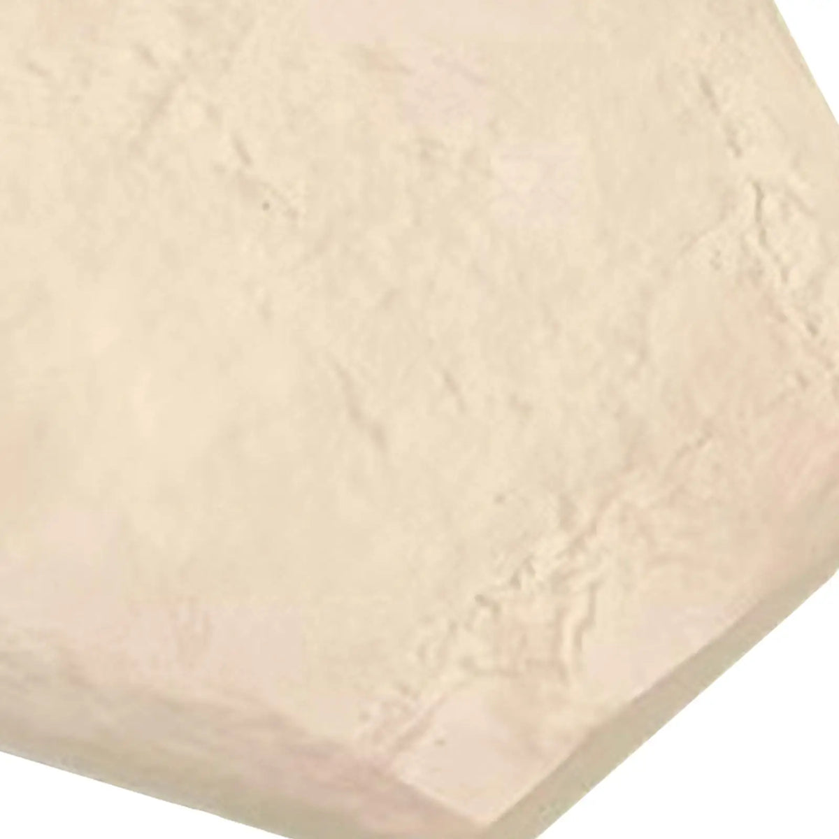 Plastic Garden Stepping Stones Set with Ground Nails – 4 Pack