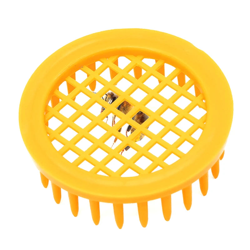 5-Pack Plastic Queen Bee Cage & Catcher – Beekeeping Tool