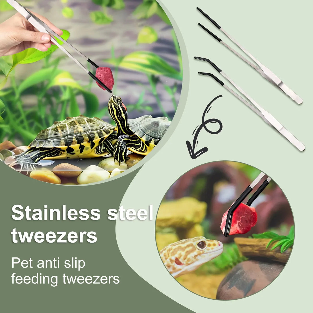 Stainless Steel Reptile Feeding Tongs – Long Tweezers
