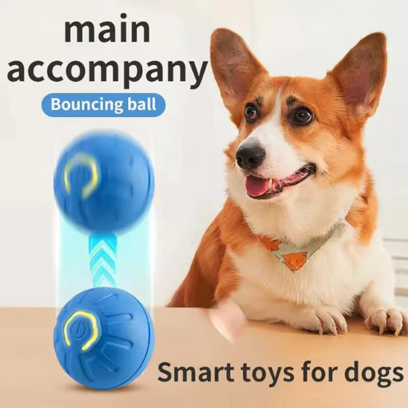 Interactive Electronic Moving Ball Toy for Cats & Dogs | USB