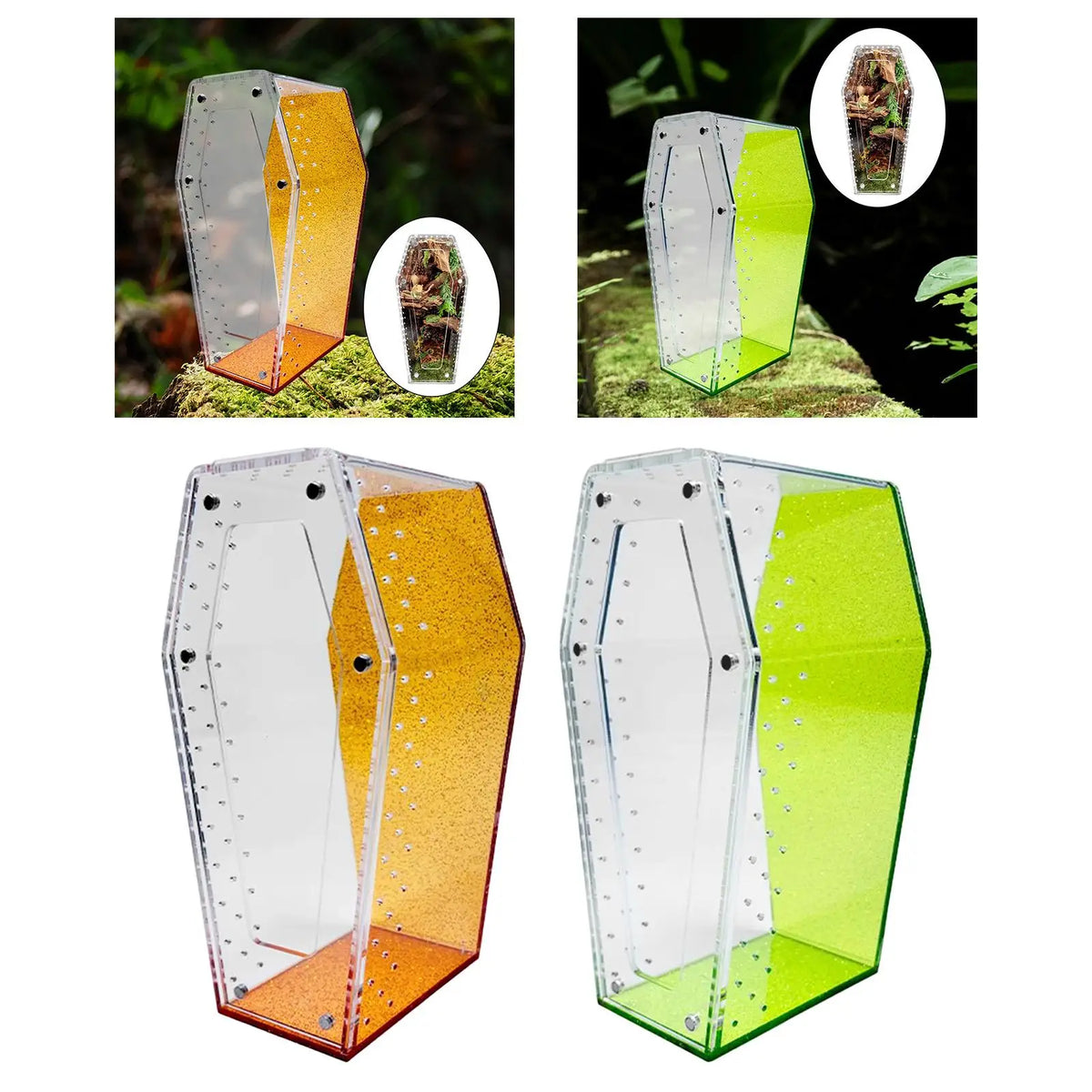 Acrylic Coffin Spider & Reptile Micro Terrarium Enclosure