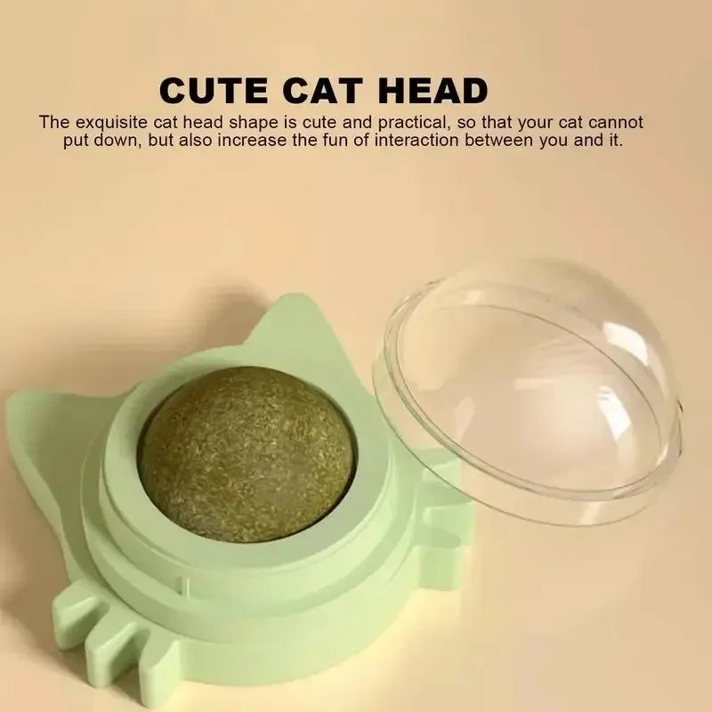 Catnip Ball Toy – Bite-Resistant Kitten Teeth Grinder & Play