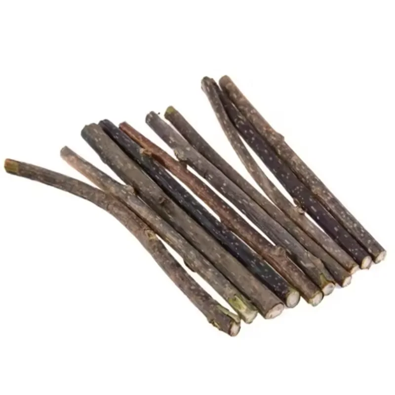 20-Pc Natural Polygonum Cat Chew Sticks – Dental Molar Toy