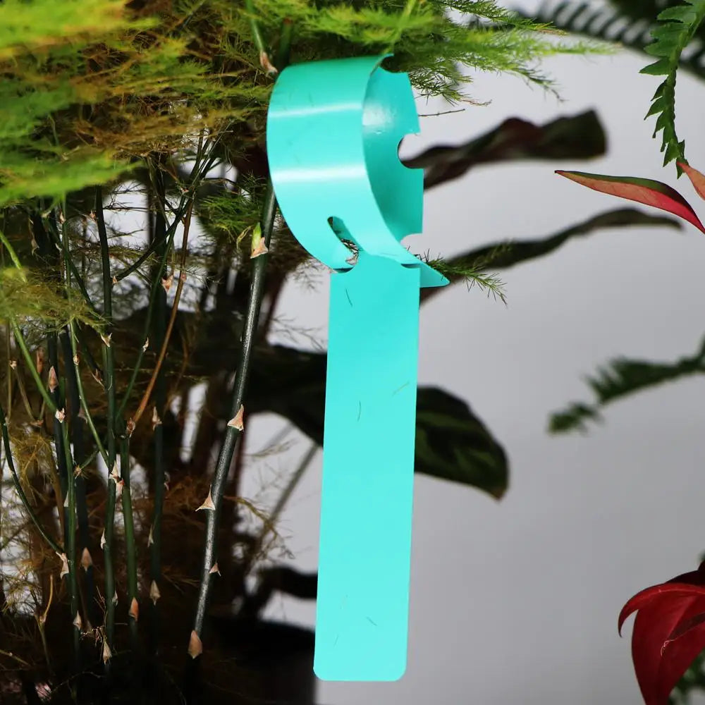 Waterproof Hanging Ring Plant Labels – Reusable Garden Tags