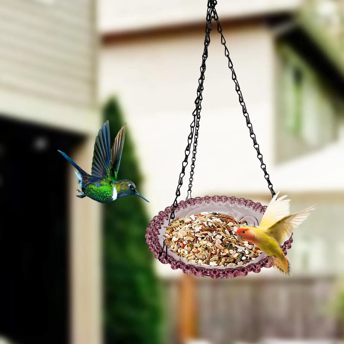 Kesoto Hanging Bird Feeder Tray – Outdoor Platform & Bird Bath