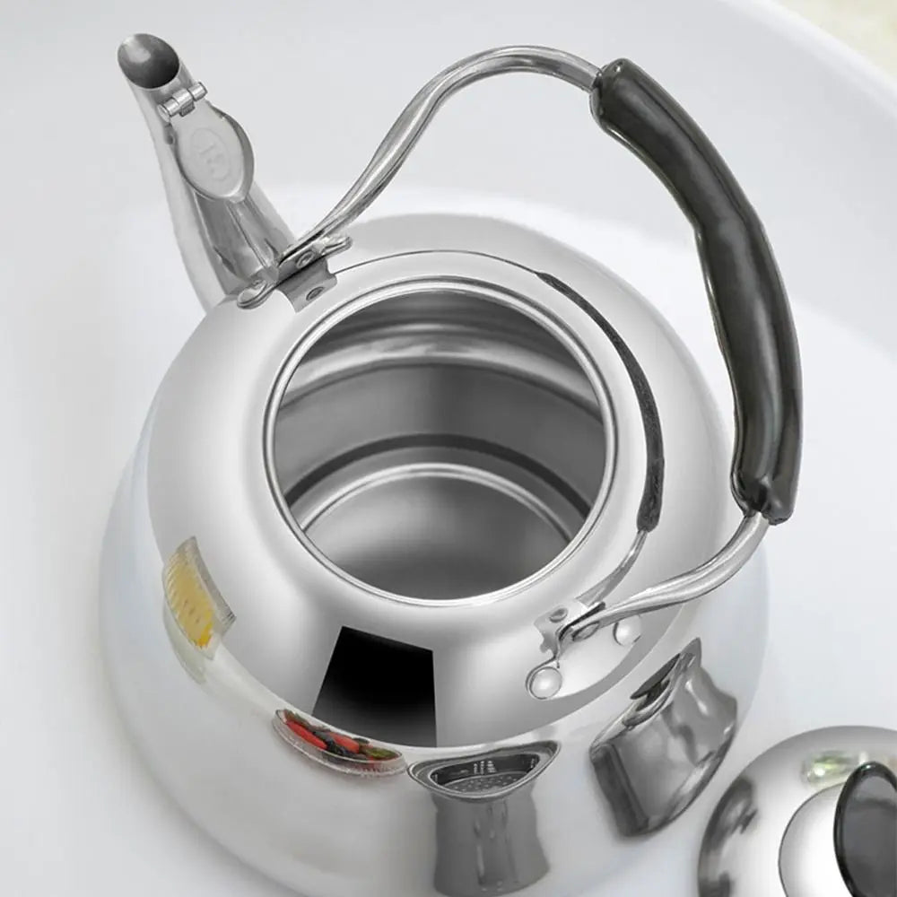 Stainless Steel Whistling Tea Kettle | Gas & Induction