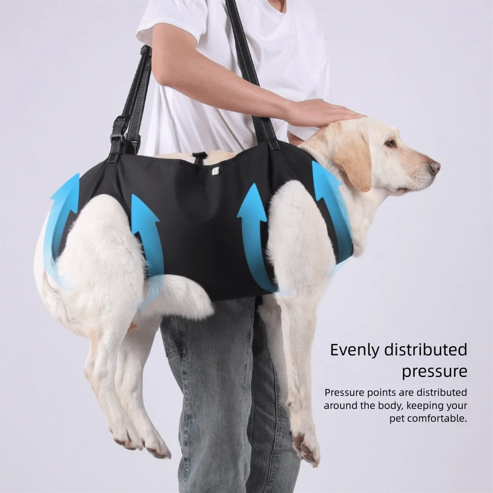 Adjustable Dog Lift Harness & Body Support Bag | S–XL
