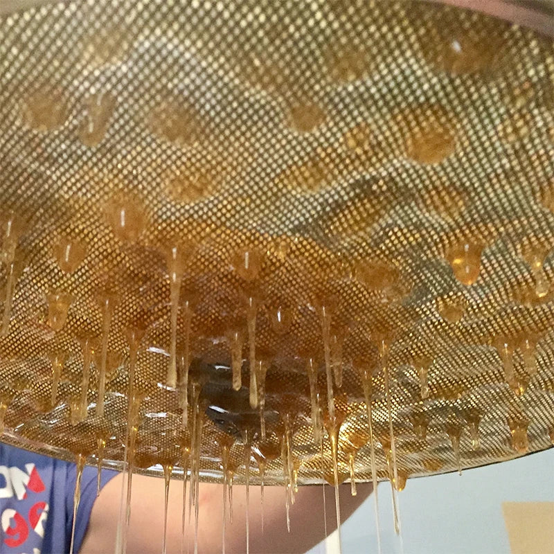 Double Layer Stainless Steel Honey Strainer | Beekeeping Filter
