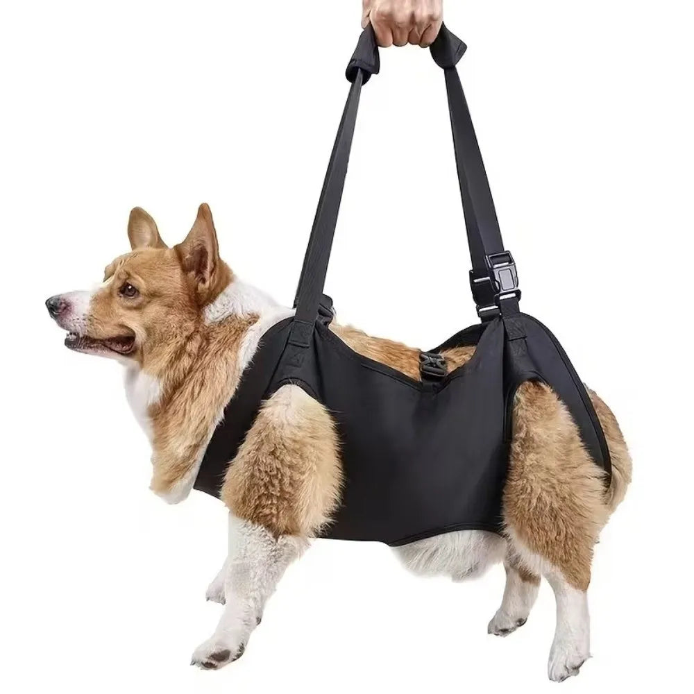Adjustable Dog Lift Harness & Body Support Bag | S–XL