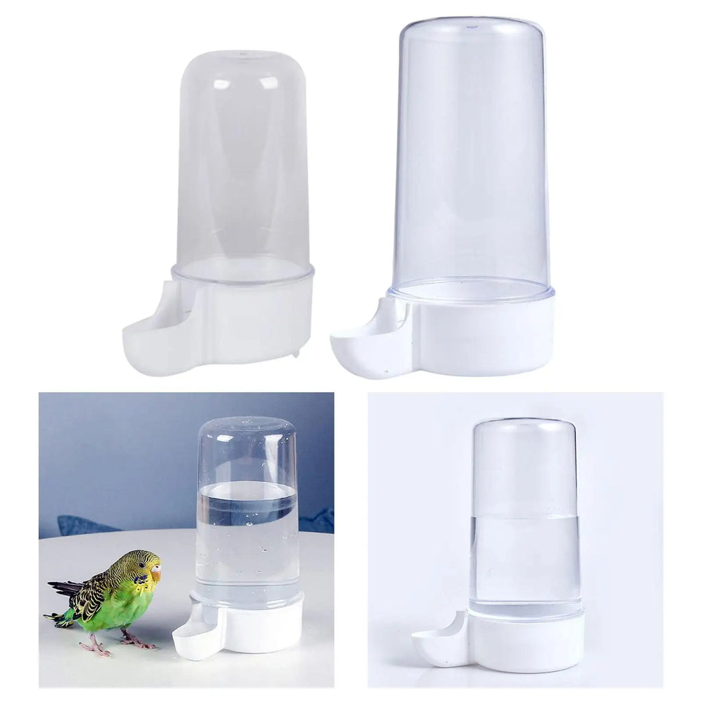 Automatic Bird Water Feeder – Large Capacity Cage Drinker