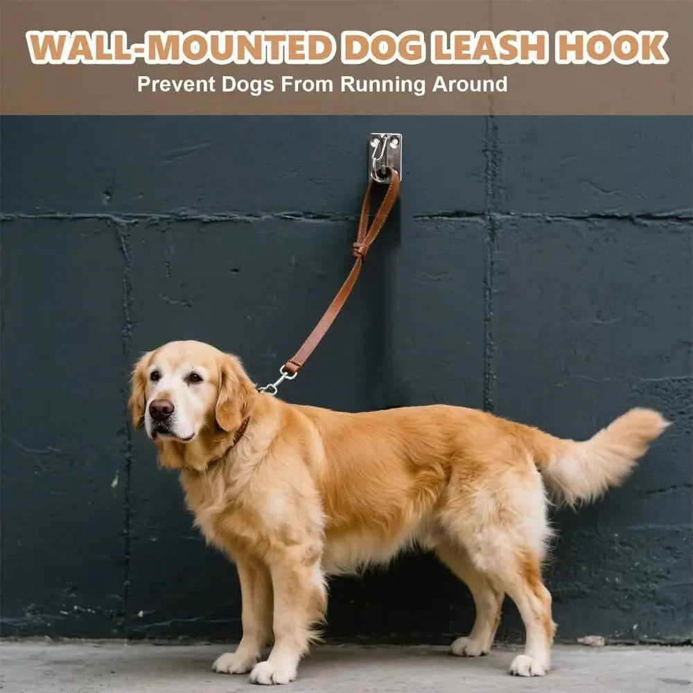 316 Stainless Steel Wall Hook – Dog Leash Holder & Organizer