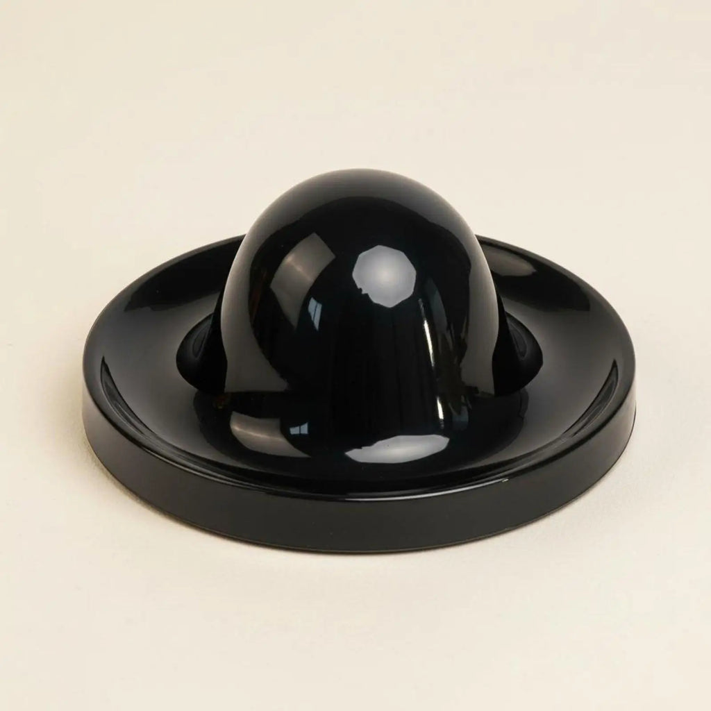 Anti-Overturn Turtle Feeding Bowl | Reptile Terrarium Dish