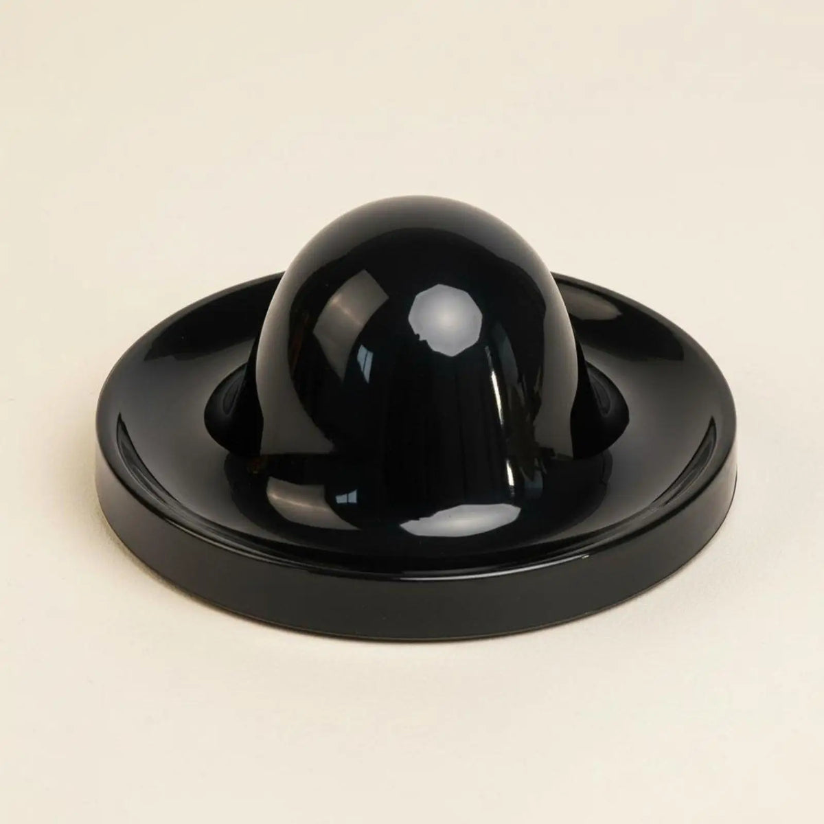 Anti-Overturn Turtle Feeding Bowl | Reptile Terrarium Dish