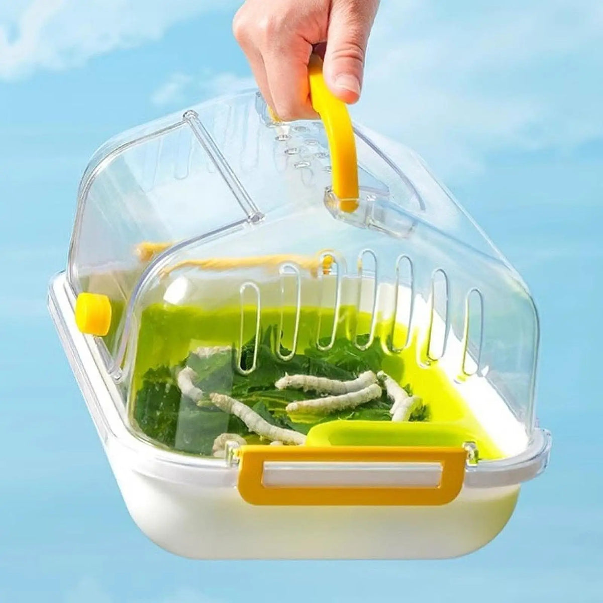 Turtle Tank Aquarium Terrarium with Lockable Lid | Reptile