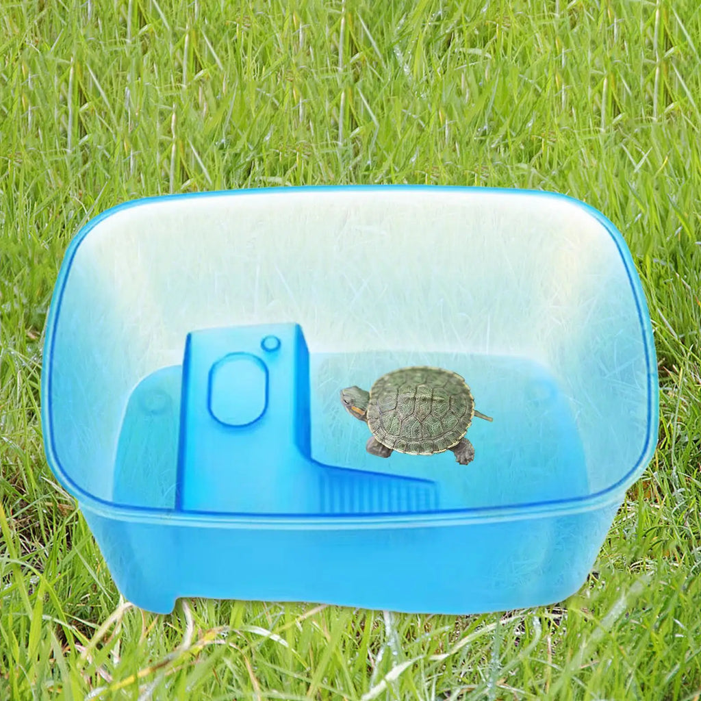 Turtle Tank with Basking Ramp & Feeding Box | S, M, L