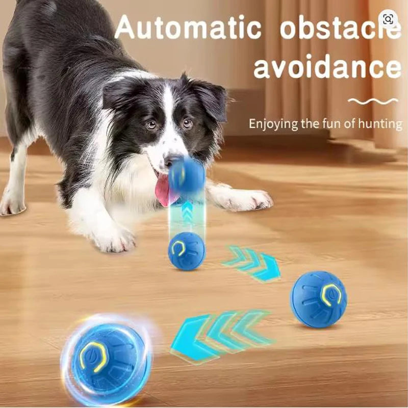 USB Rechargeable Interactive Pet Toy Ball – RGB LED for Dogs & Cats