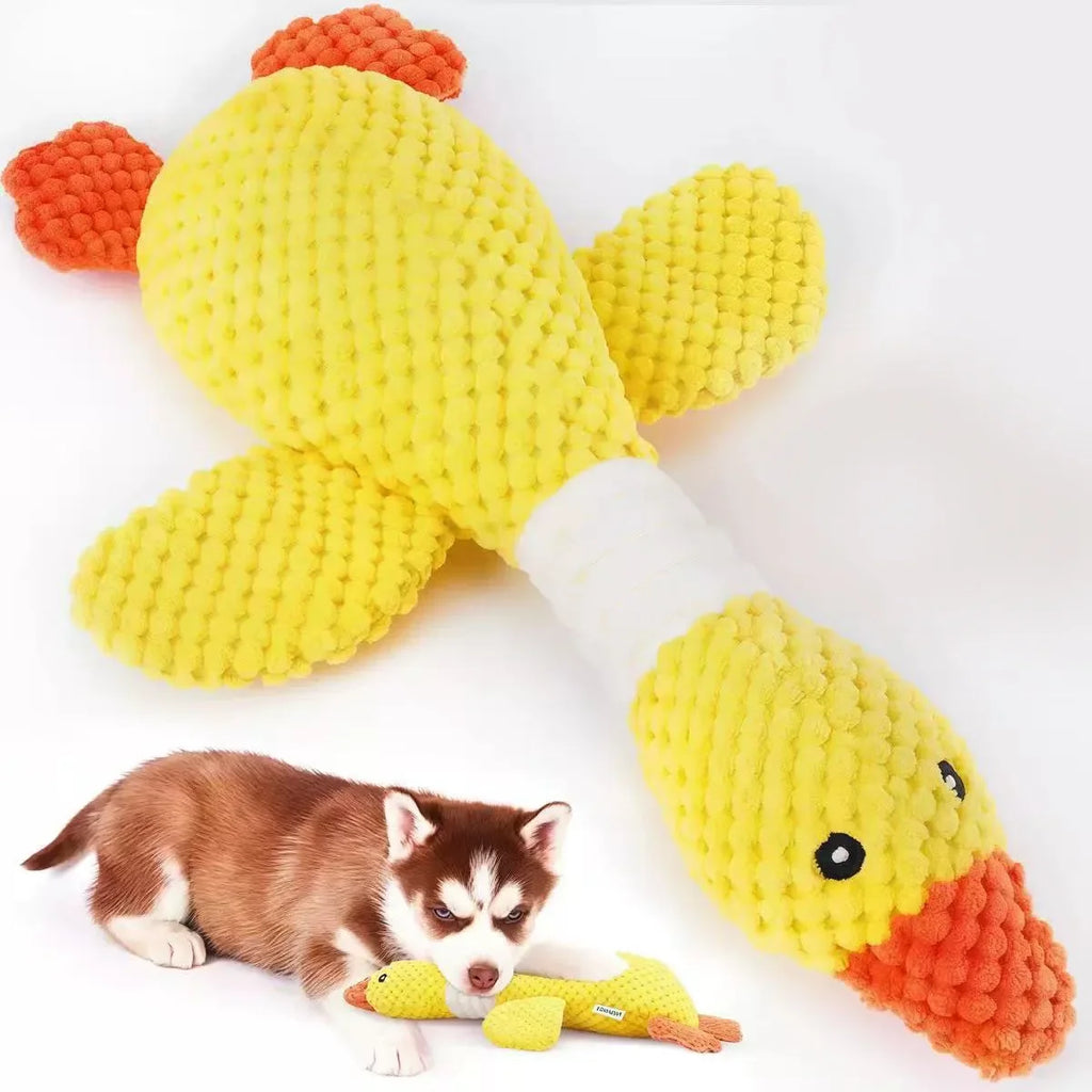 Blue Goose Squeaky Plush Dog & Cat Toy – Tough Chew Toy