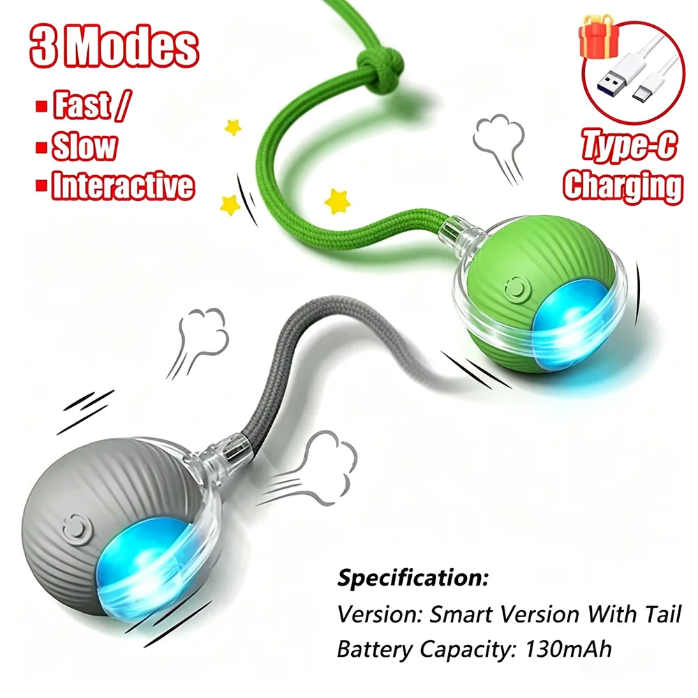 Interactive Electric Pet Ball Toy – Auto Obstacle Avoidance