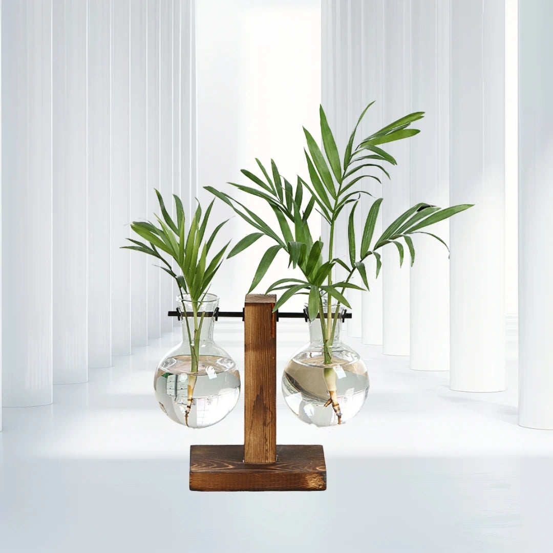Wooden Frame Hydroponic Glass Vase | Desktop Flower Planter