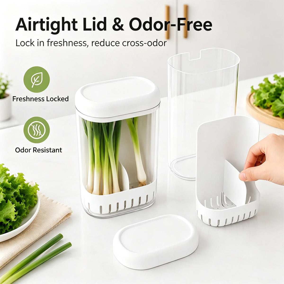 Herb & Vegetable Hydroponic Fresh-Keeping Storage Container