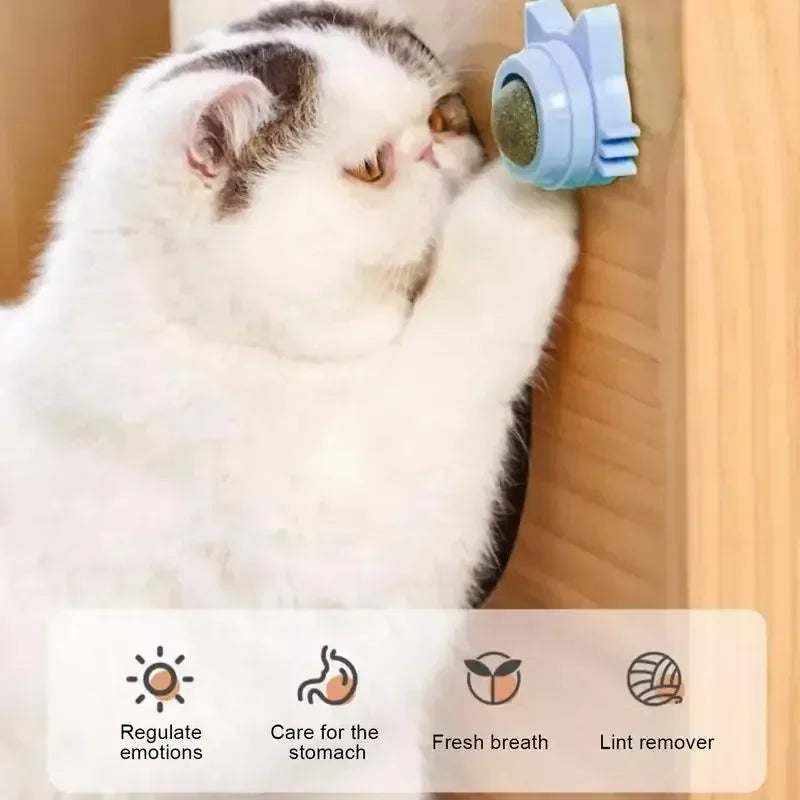 Catnip Ball Toy – Bite-Resistant Kitten Teeth Grinder & Play