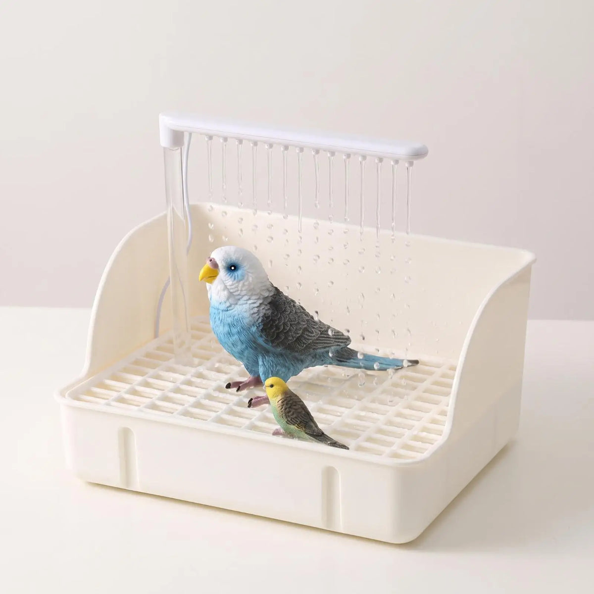 Circulating Bird Bath with Pump & Overhead Shower Tube