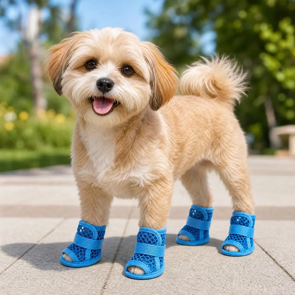 4-Pack Mesh Dog Shoes – Breathable Non-Slip Summer Boots