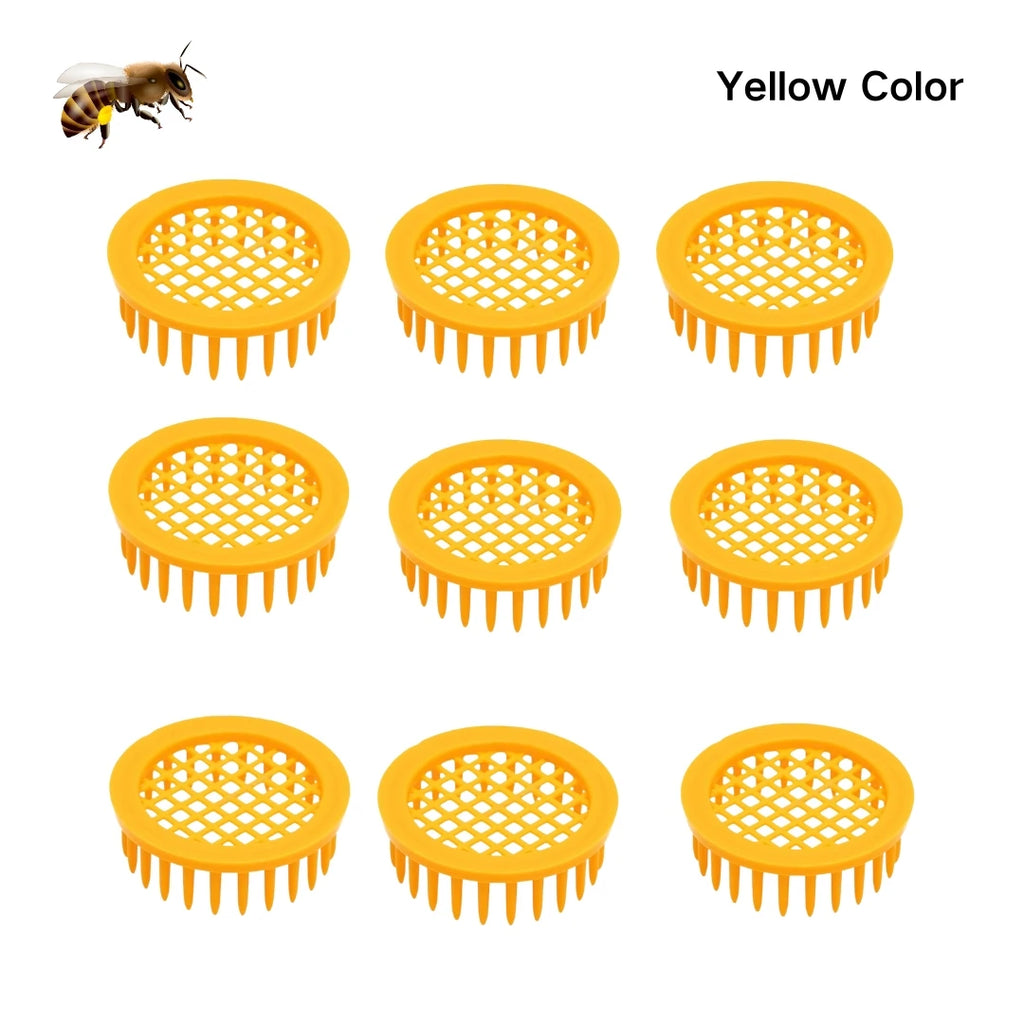 5-Pack Plastic Queen Bee Cage & Catcher – Beekeeping Tool