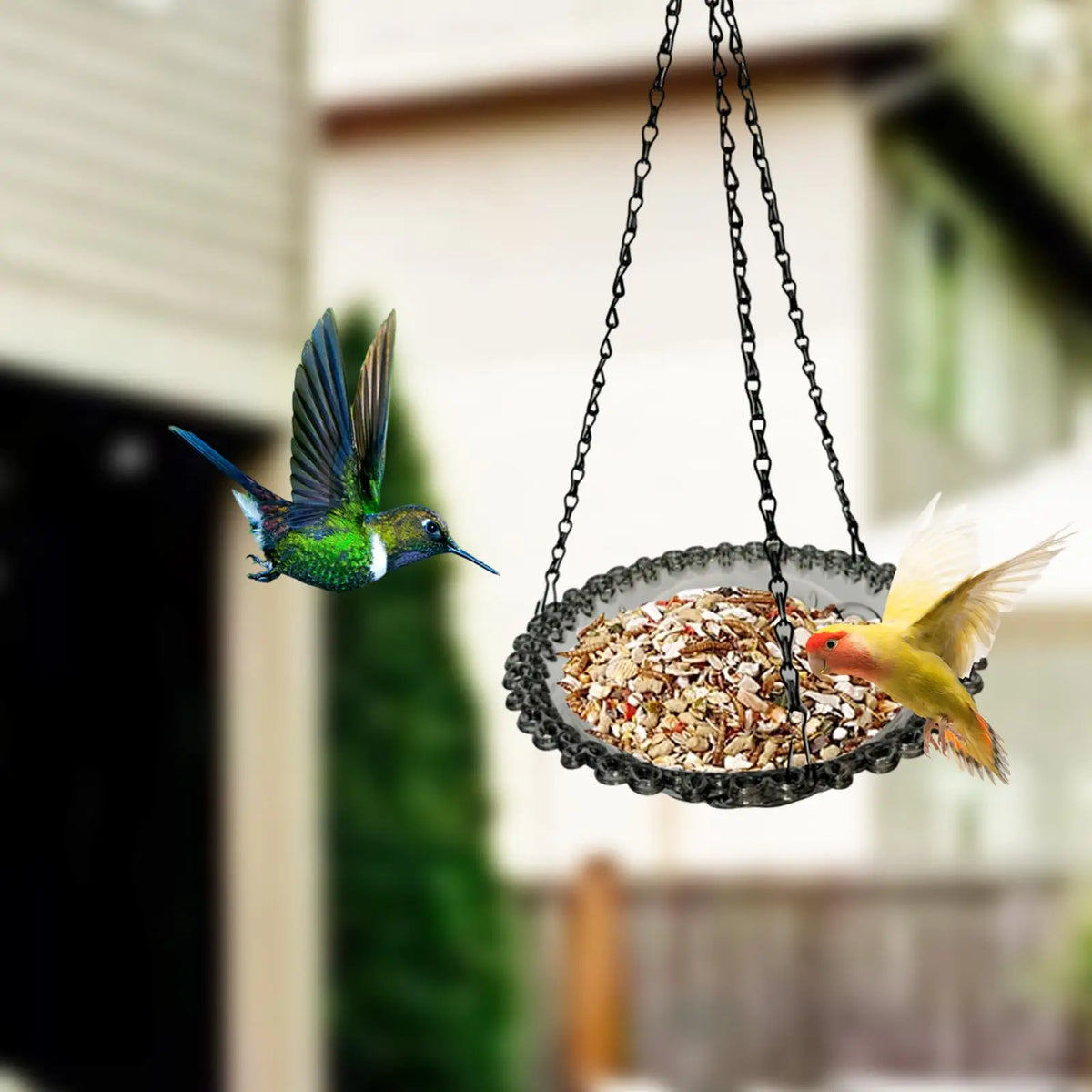 Kesoto Hanging Bird Feeder Tray – Outdoor Platform & Bird Bath