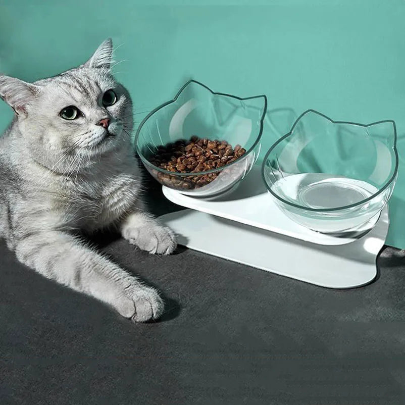 Tilted Cat Bowl – Transparent, Splash-Proof & Non-Slip