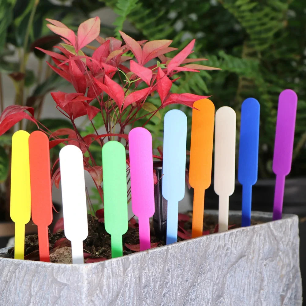 Waterproof PVC Plant Tags – Colorful Nursery Markers & Labels