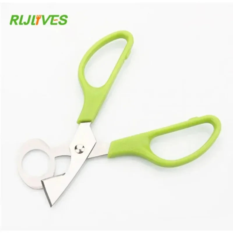 Quail Egg Shell Cracker & Opener Scissors – Stainless Steel