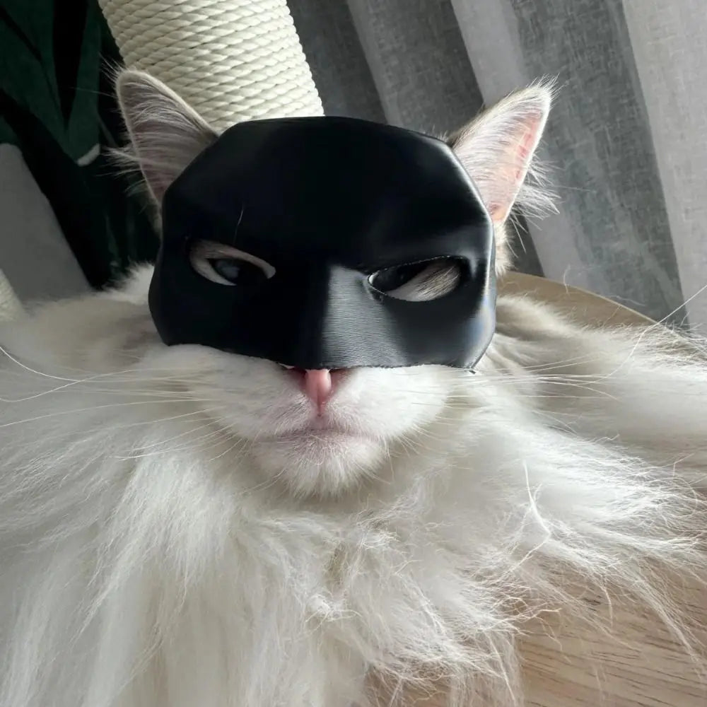 Bat Superhero Cat & Dog Halloween Mask – Pet Photo Prop