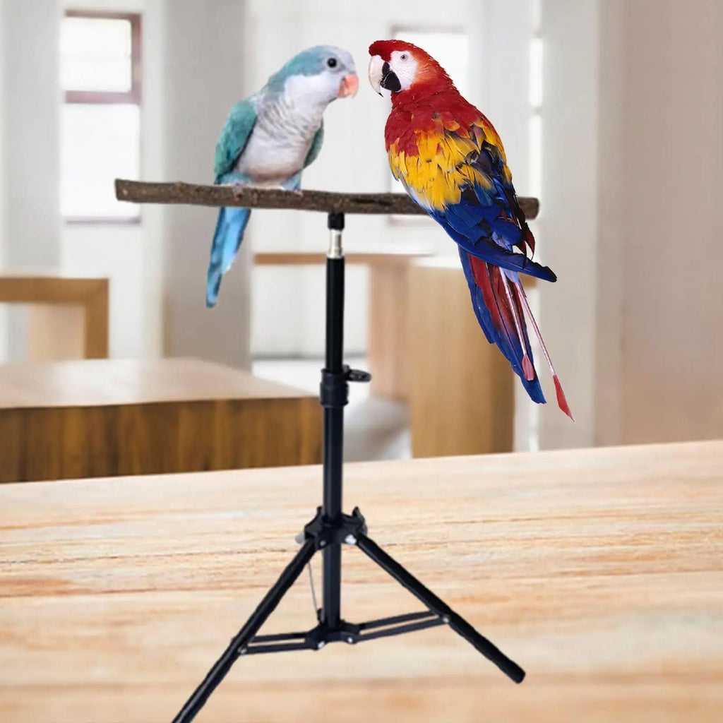 Wood Parrot Perch Stand | Height-Adjustable Tripod Bird Perch