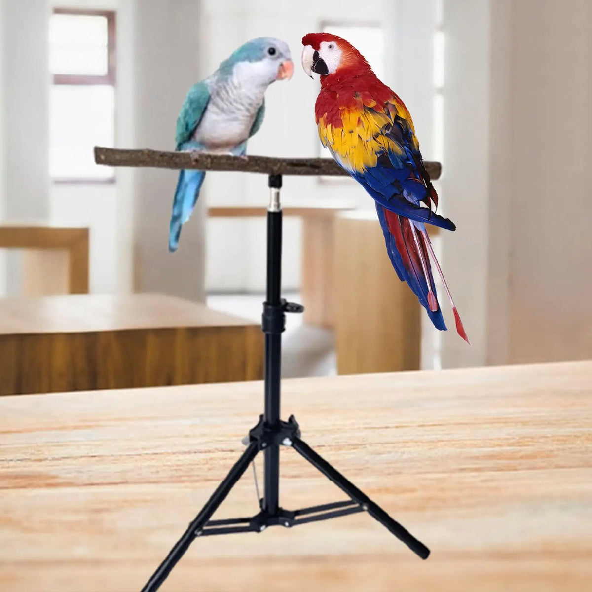 Wood Parrot Perch Stand | Height-Adjustable Tripod Bird Perch