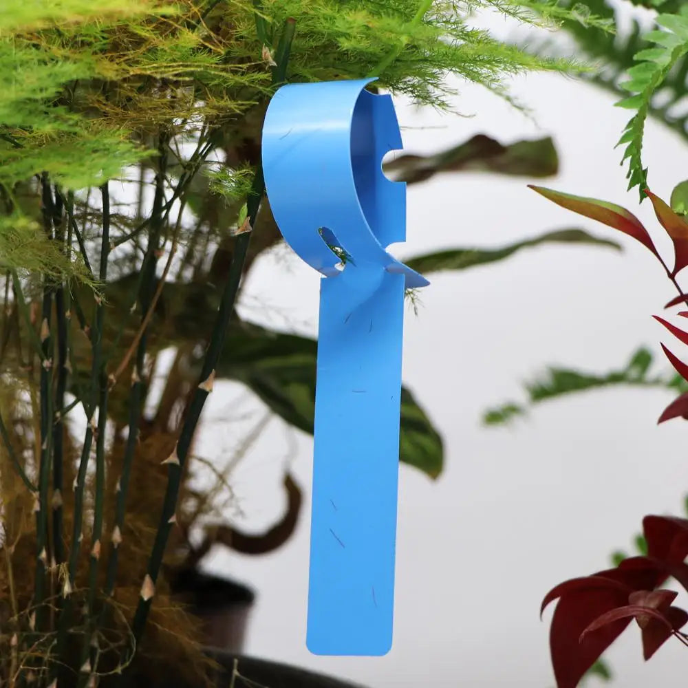 Waterproof Hanging Ring Plant Labels – Reusable Garden Tags