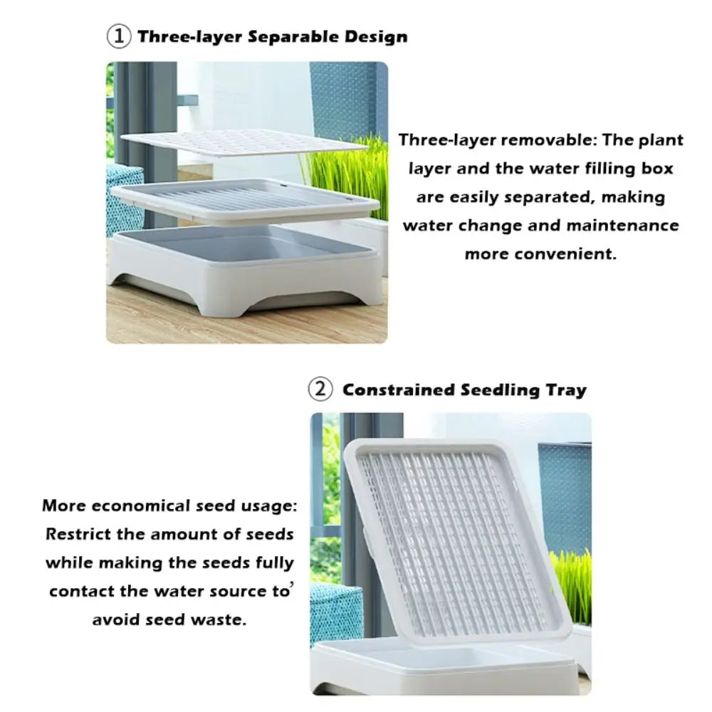 Hydroponic Cat Grass Seeding Tray – Reusable 3-Layer Planter