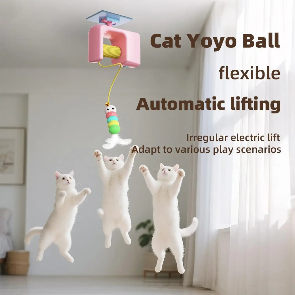 Rechargeable Interactive Hanging Door Flying Bird Cat Toy