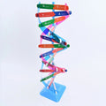 3D DNA Double Helix Model Kit – DIY Biology Science Puzzle
