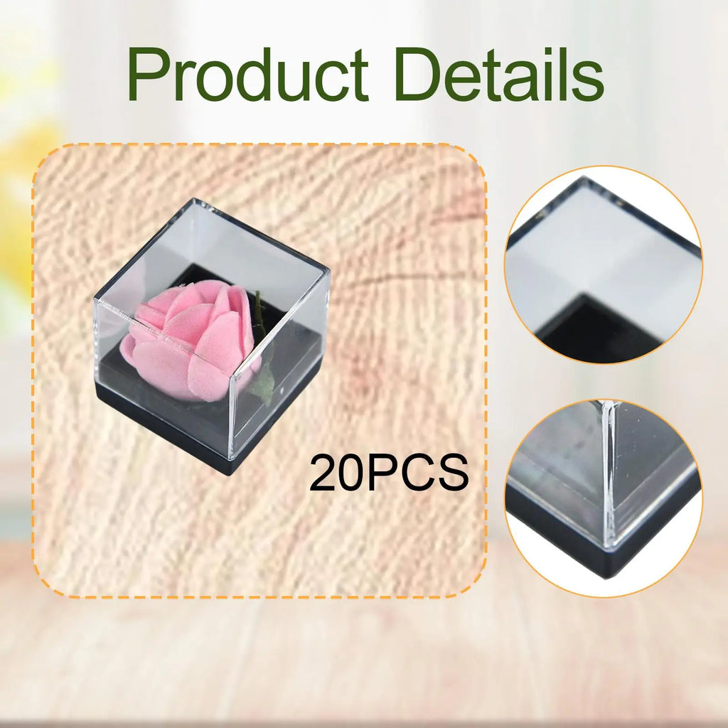 20-Pack Clear Mineral Display Boxes – Dustproof Cube Showcase