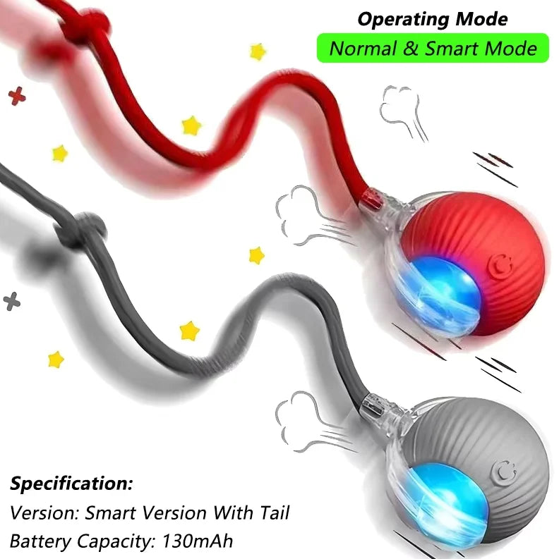 Interactive Electric Pet Ball Toy – Auto Obstacle Avoidance