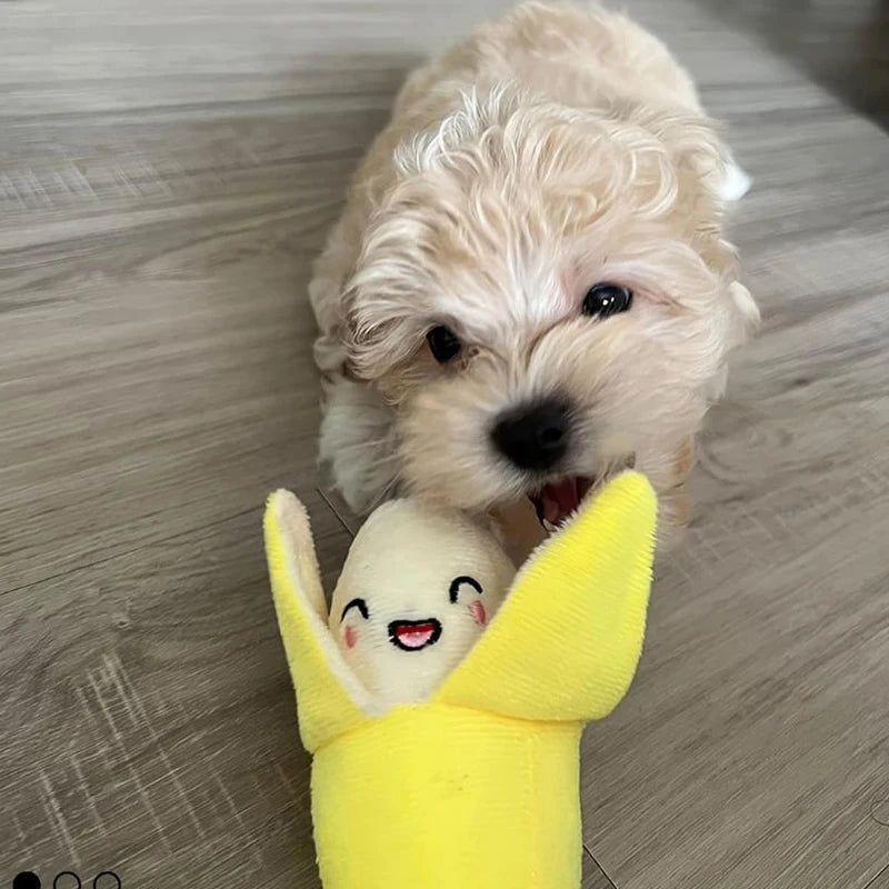 7-Piece Plush Squeaky Puppy Toy Set – Fruit & Veggie Dog Toys